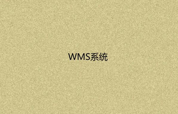 仓库管理系统（WMS）是如何运作的？